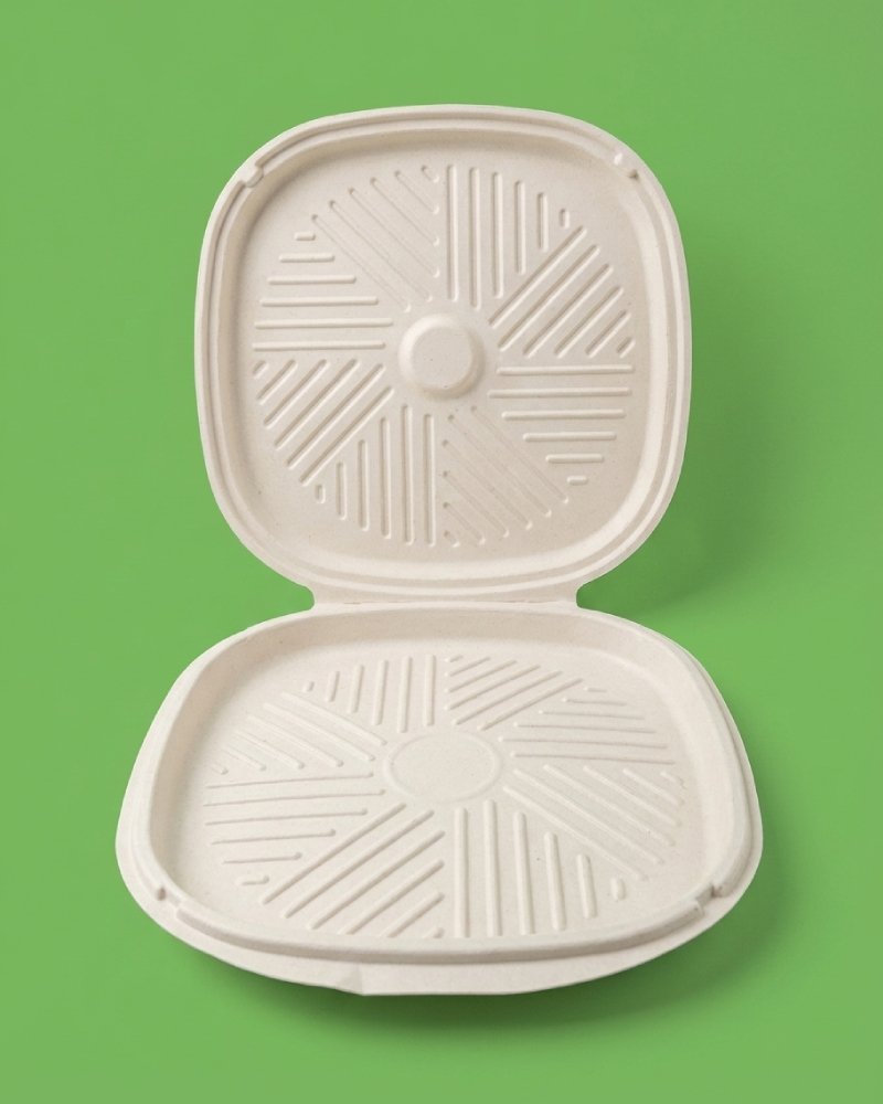 10 Inch Bagasse Pizza Box Personal Size - Eco-Friendly Pizza Packaging