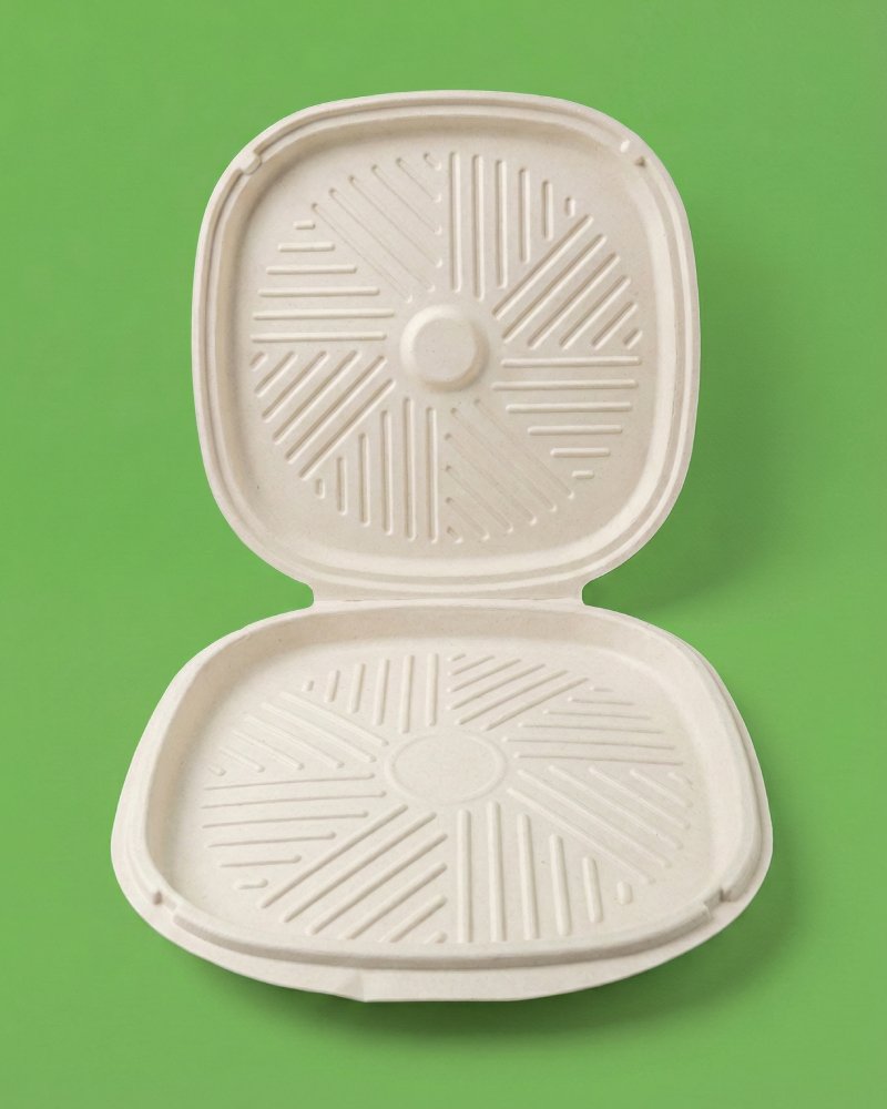12 Inch Bagasse Pizza Box Medium Size - Eco-Friendly Pizza Packaging