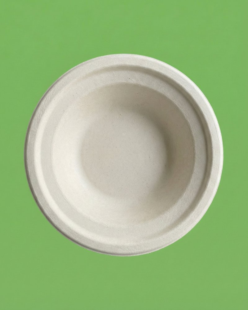 10 Inch Deep Bagasse Plate - Eco-Friendly Compostable Pasta Plate