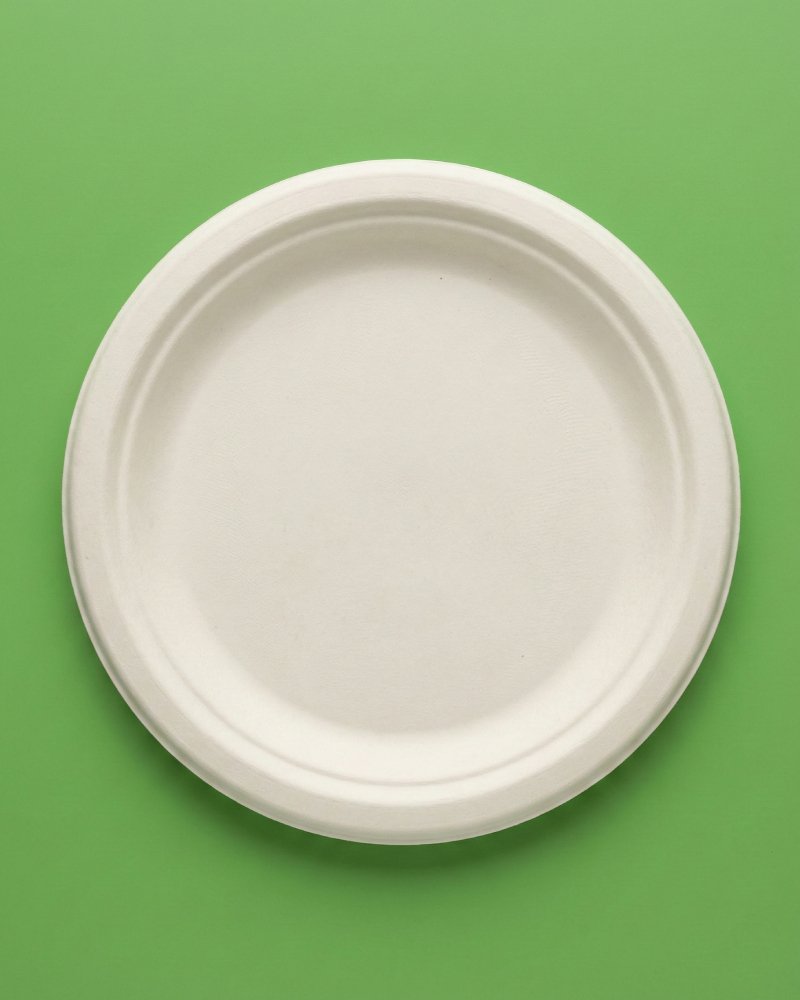 10 Inch Round Bagasse Plate - Eco-Friendly Compostable Disposable Plate