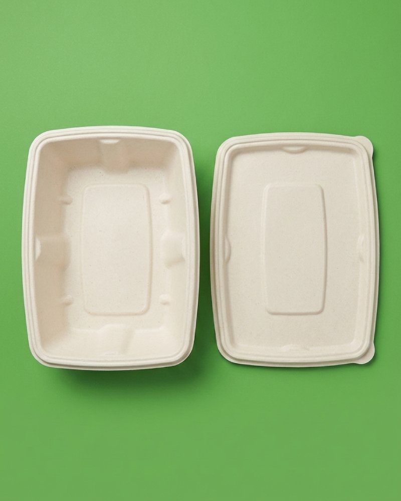 Large 850ml Bagasse Takeaway Box - Eco-Friendly Food Container