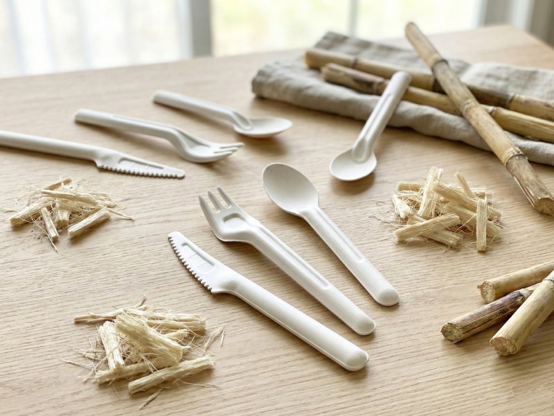 Bagasse Cutlery